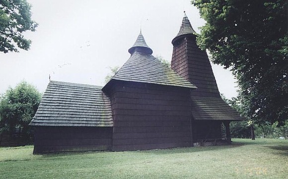 back view